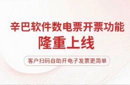  辛巴軟件進(jìn)銷(xiāo)存系列，新增數(shù)電發(fā)票開(kāi)票功能